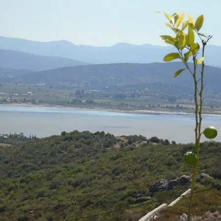 Lakeside Garden ホテル Bogazici