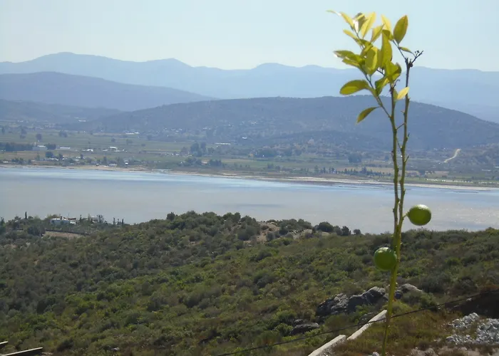 Lakeside Garden Hotel Bogazici